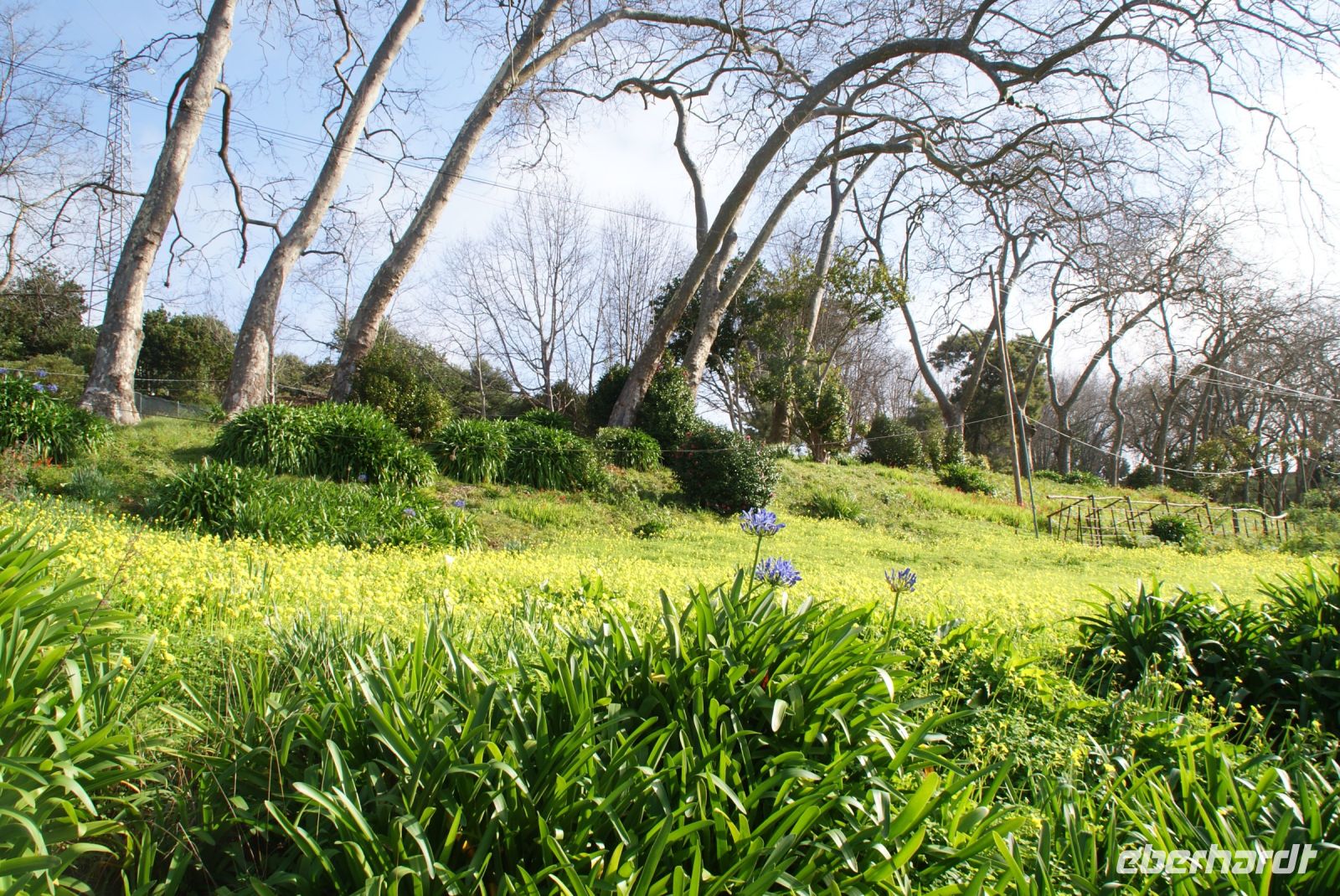 64 Palheiro Garden der Familie Blandy