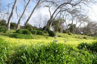 64 Palheiro Garden der Familie Blandy