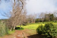 65  Palheiro Garden der Familie Blandy