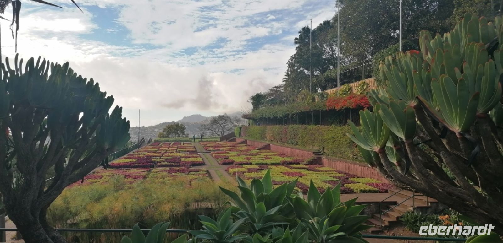 94 Mosaik im Botanischen Garten 