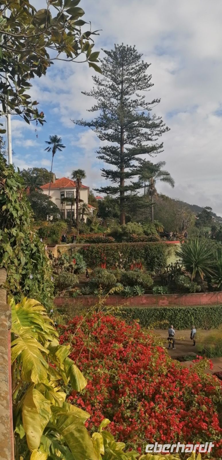 96 Botanischer Garten in Funchal