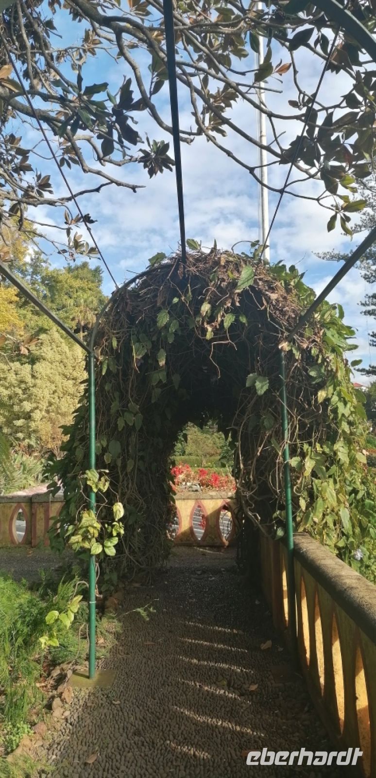 97 Botanischer Garten in Funchal