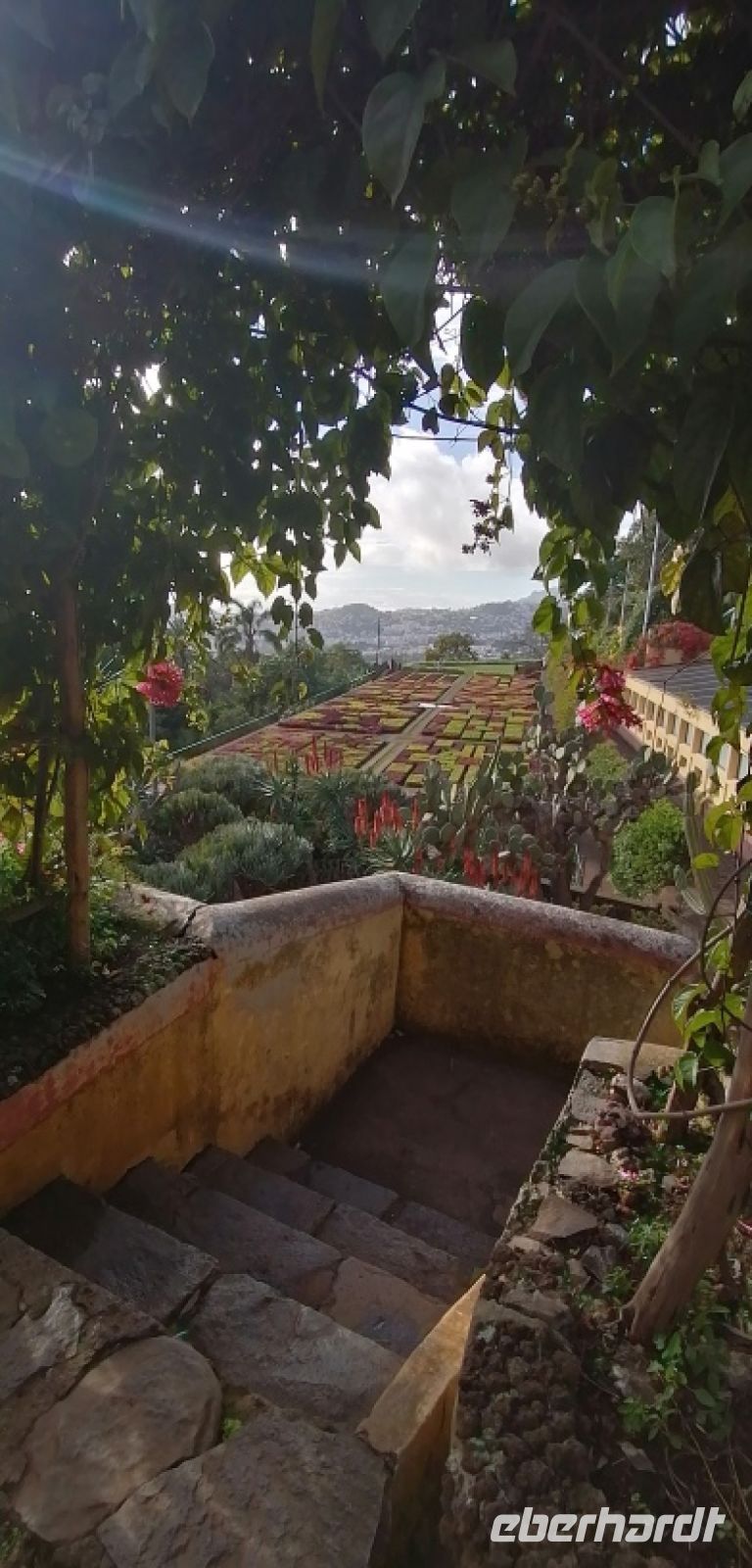 98 Botanischer Garten in Funchal