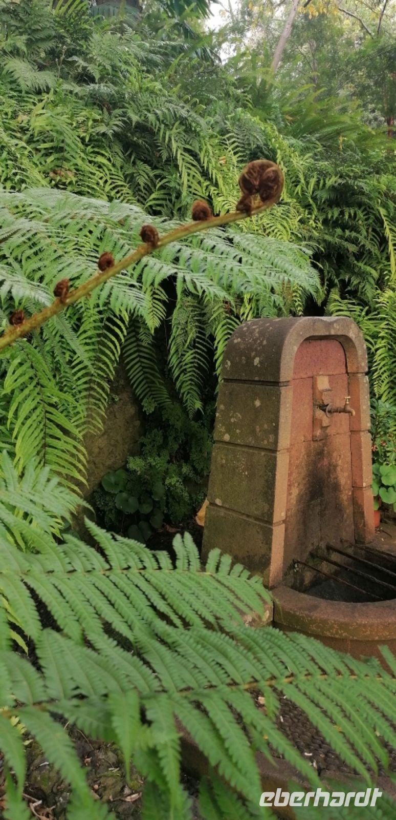 105 Botanischer Garten in Funchal