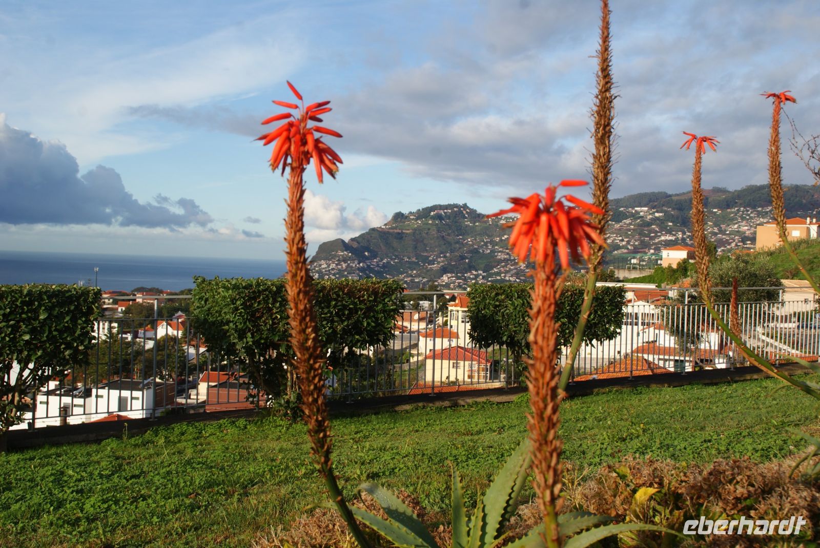 109 Blick vom Pico dos Barcelos