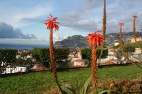 109 Blick vom Pico dos Barcelos