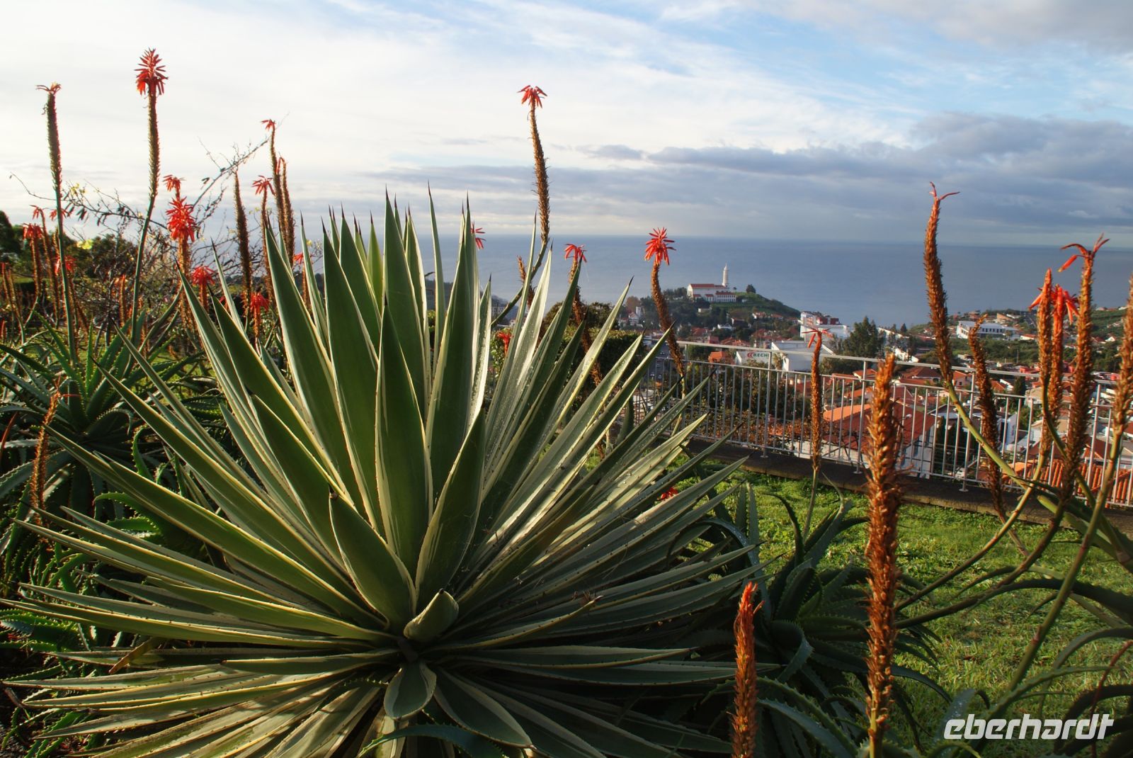 110 Blick vom Pico dos Barcelos