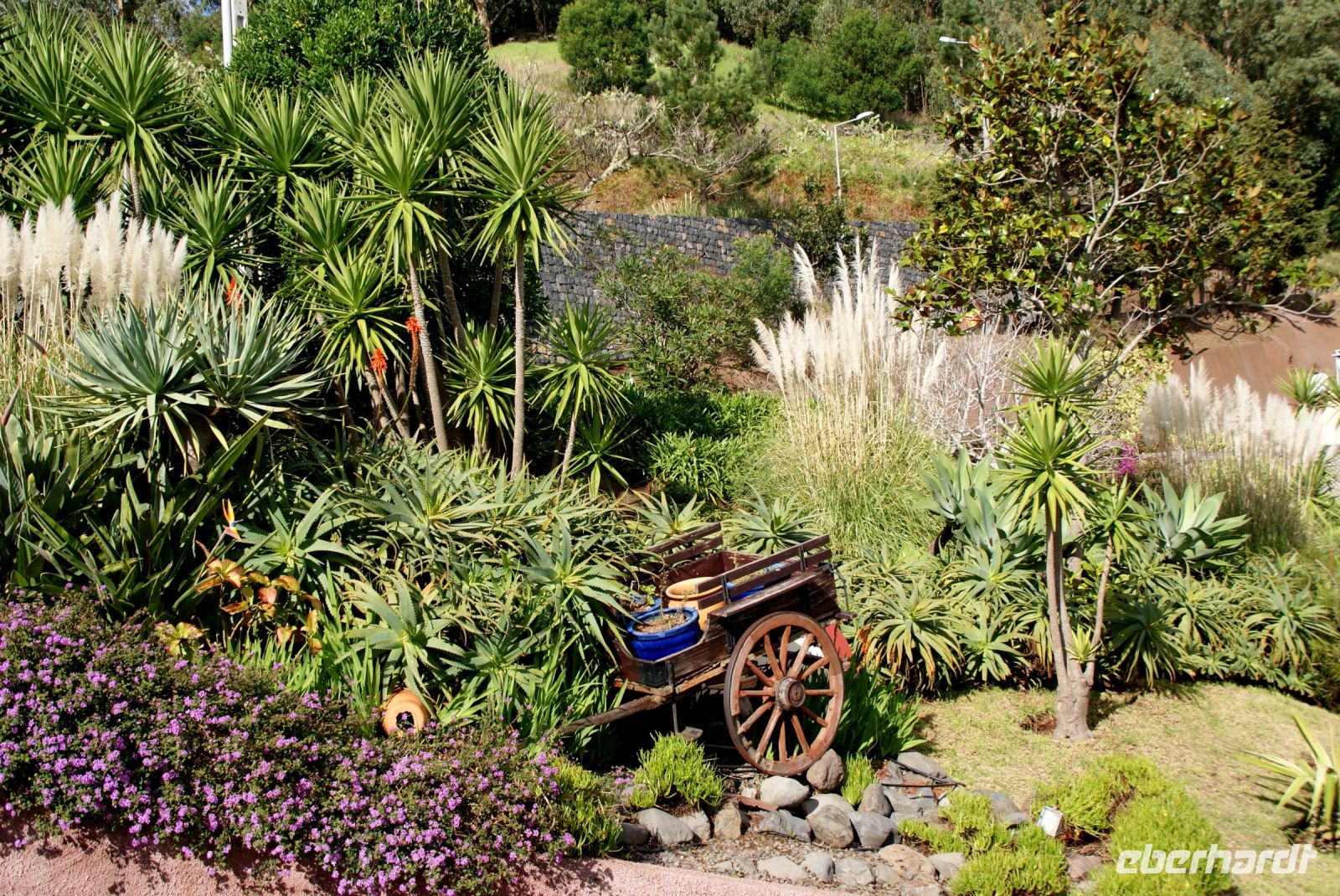118 Impressionen aus Madeira