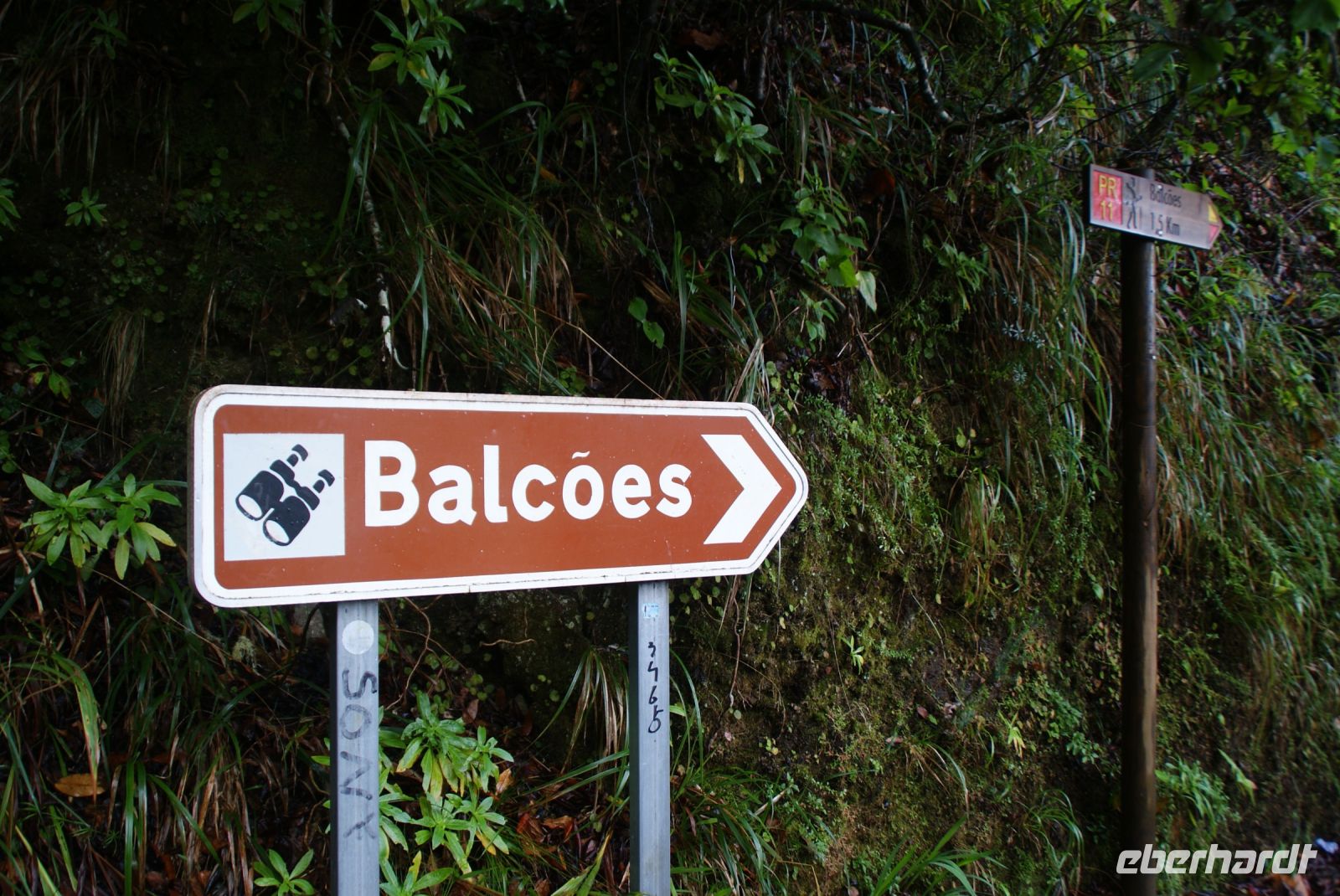 131 Levada Wanderung nach Balcoes