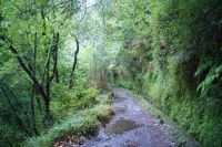 133 Levada Wanderung nach Balcoes