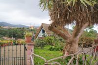 142 Strohgedeckte Häuser in  Santana