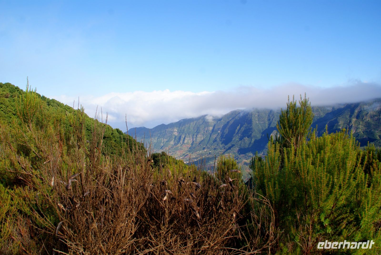 154 Blick auf Nordseite der Insel 