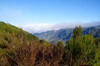 154 Blick auf Nordseite der Insel 