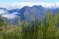 157 Fotostopp Encumeada Pass