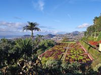 Botanischer Garten auf Madeira