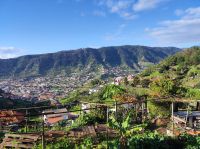 Levada Wanderung bei Machico auf Madeira