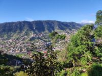 Aussicht über Machico