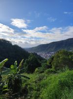 Aussicht über Machico