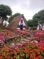 Berühmten Strohgedeckten Häuser in Santana, Madeira
