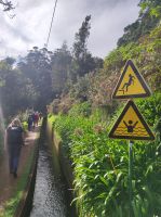 Wanderung entlang einer Levada auf Madeira
