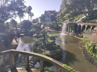 See mit Insel im Tropischen Monte Palace Garten in Funchal