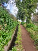 Wanderung entlang der Levada bei Santo da Serra
