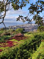 Botanischer Garten auf Madeira