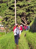 Wanderung entlang einer Levada bei Machico