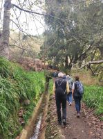 Wanderung entlang einer Levada auf Madeira