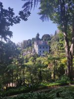 Tropischer Monte Garten in Funchal
