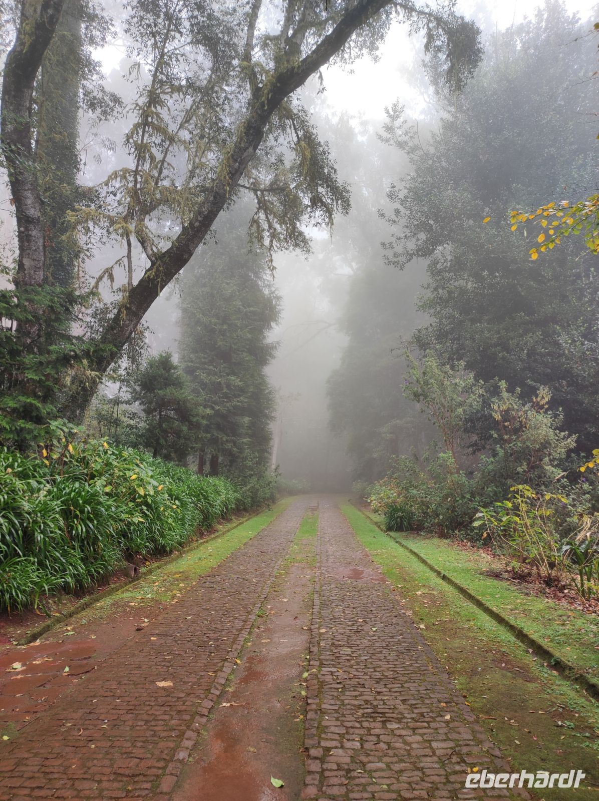 Stadtparkt von Santo da Serra auf Madeira
