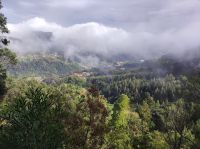 Aussichtpunkt im Stadtpark von Santo da Serra auf Madeira