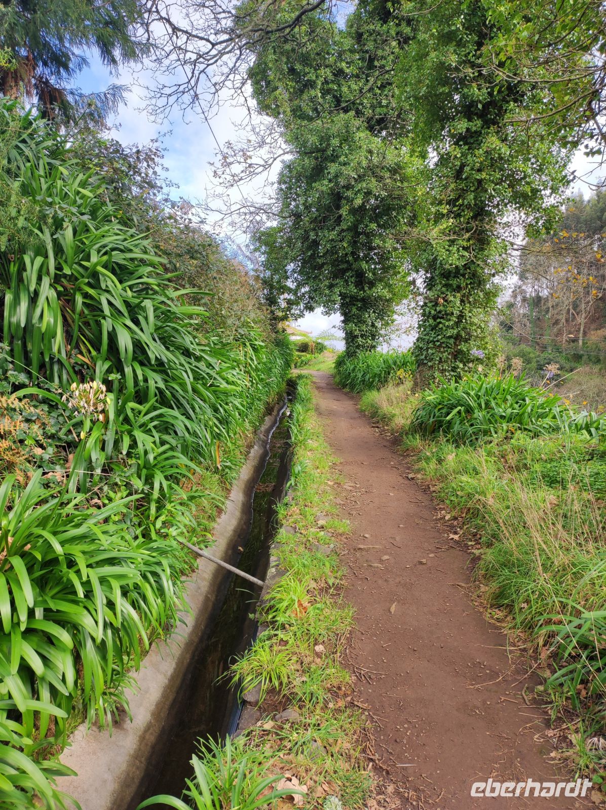 Wanderung entlang der Levada bei Santo da Serra