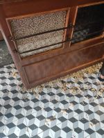 Erdnüsse auf dem Boden der urigen 