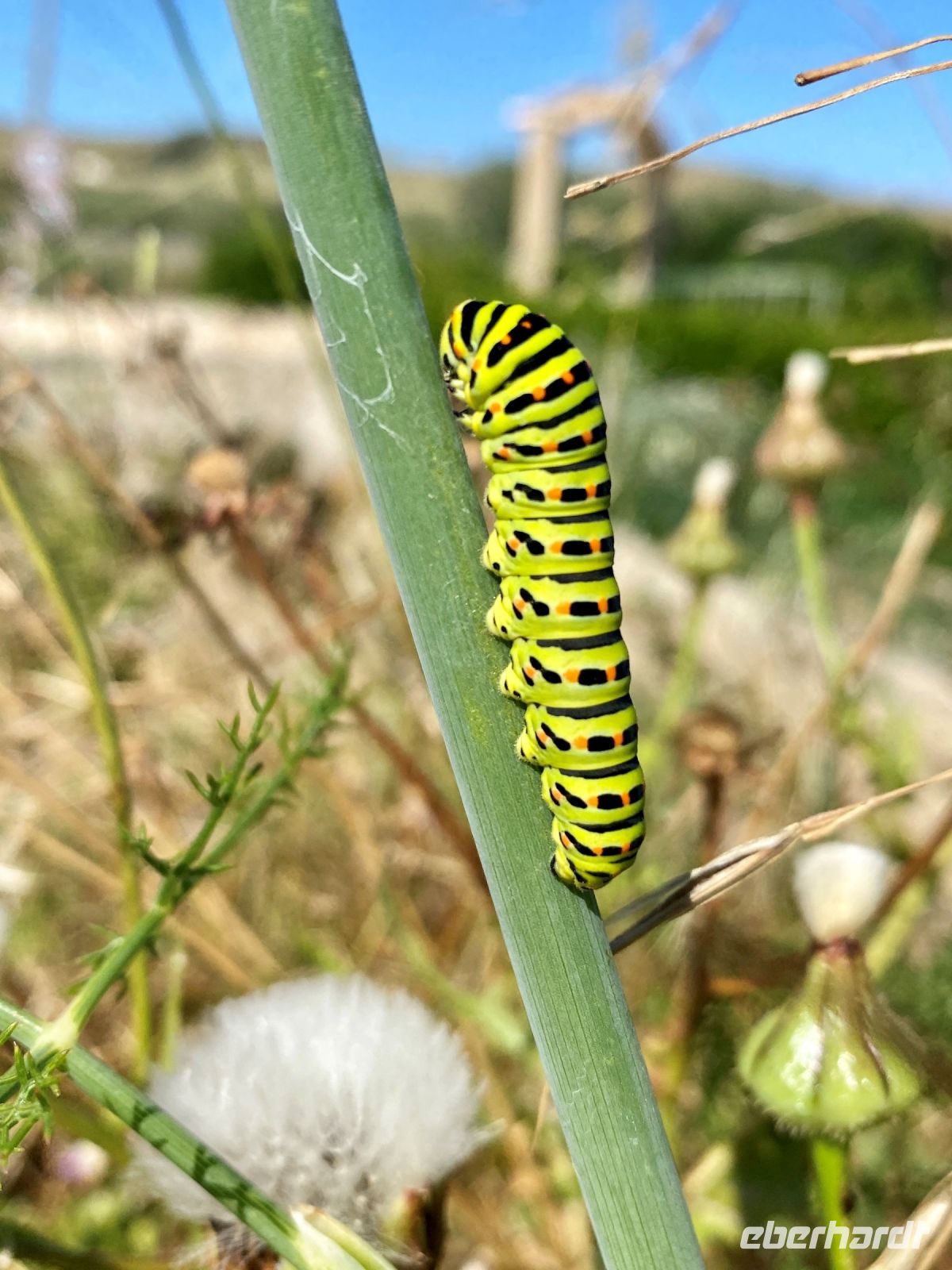 Tag 2 - Weggefährten
