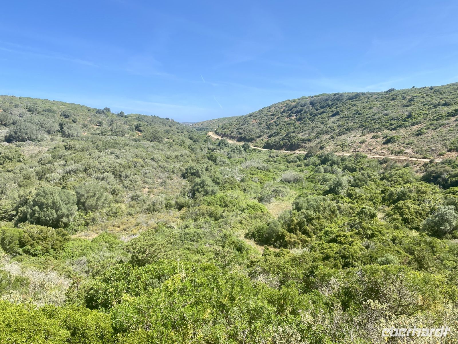 Tag 2 - Grüne Impressionen