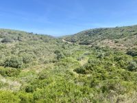 Tag 2 - Grüne Impressionen