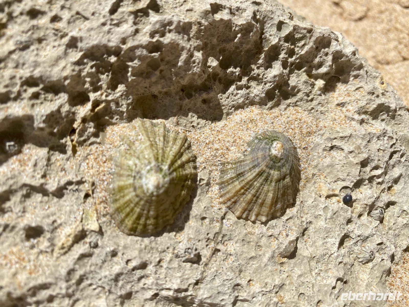 Tag 2 - Impressionen