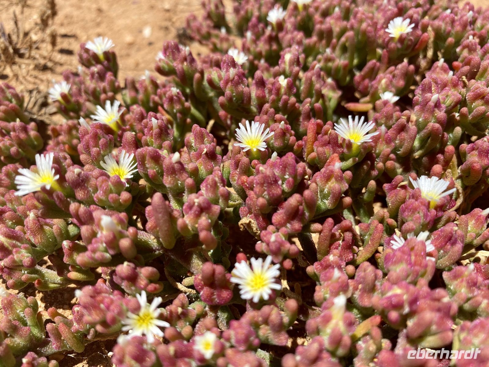 Tag 2 - Impressionen 