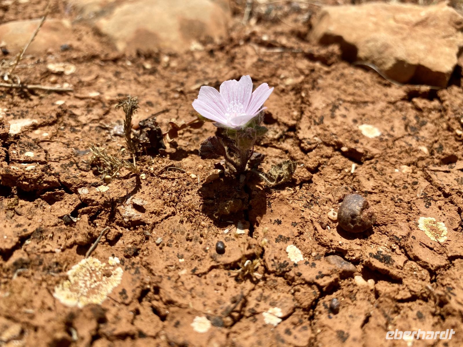 Tag 2 - Überlebenskünstler