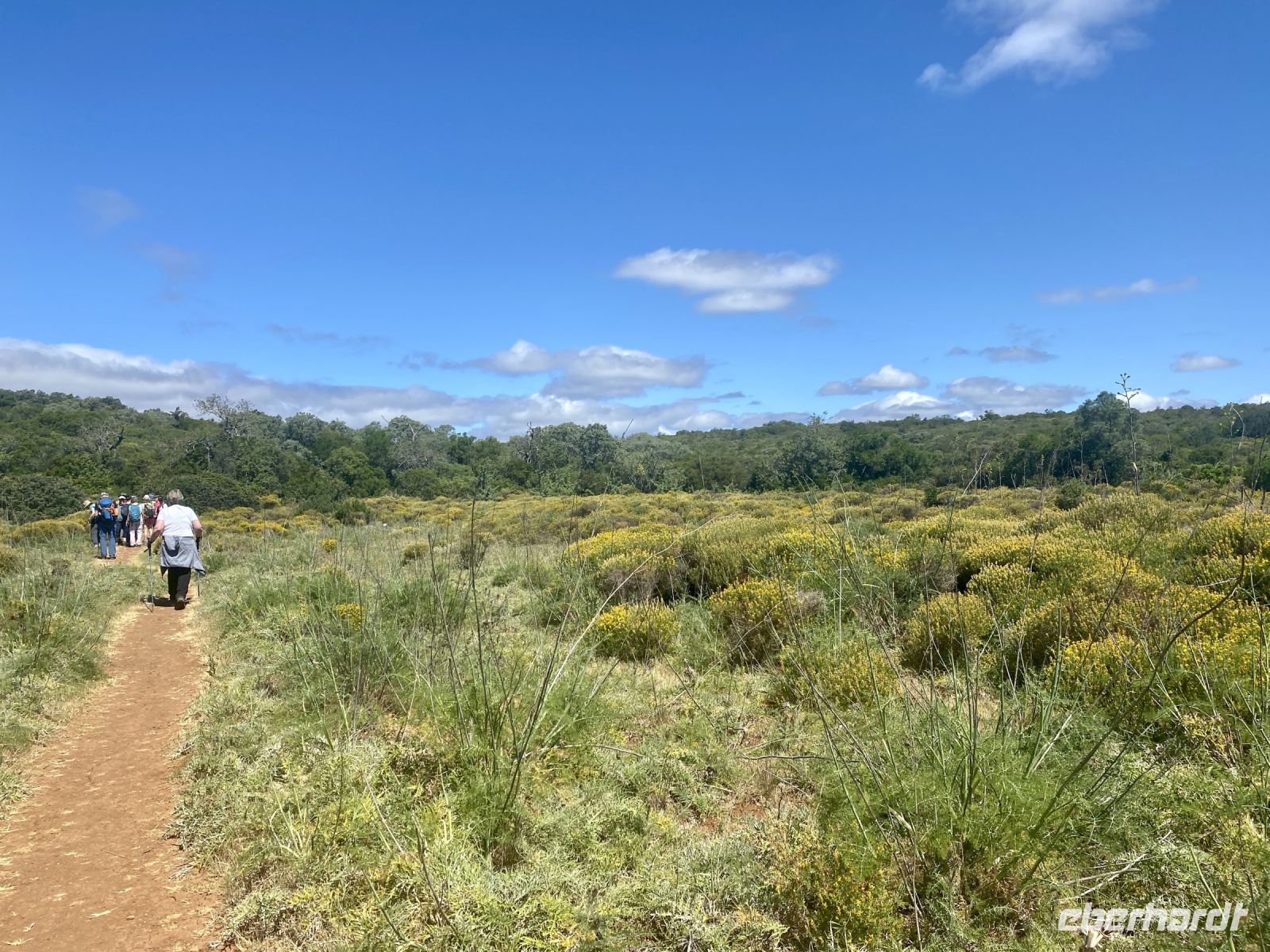 Tag 3 - Flora auf dem Hochplateau