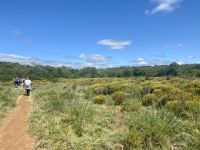 Tag 3 - Flora auf dem Hochplateau
