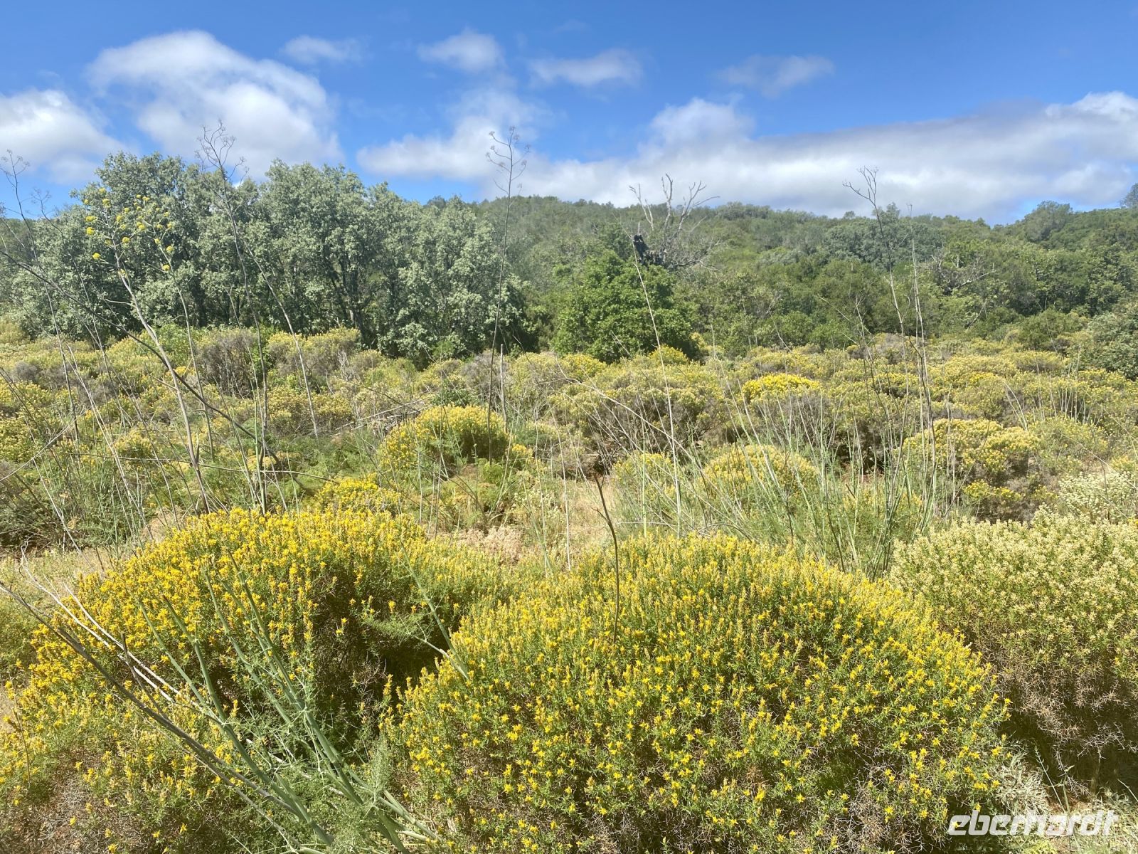 Tag 3 - Üppige Flora