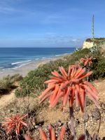 Tag 4 - Entlang der Klippen nach Luz