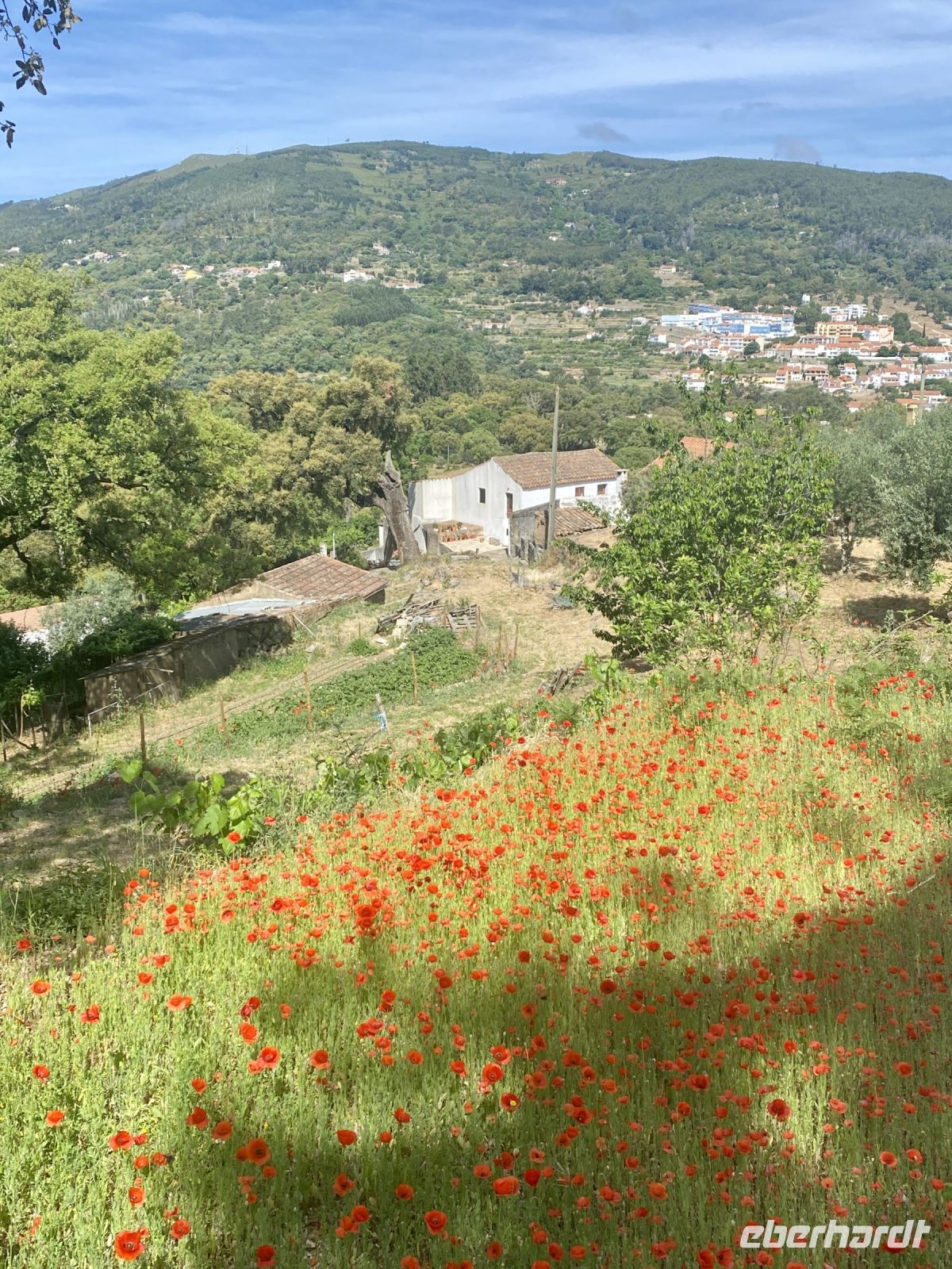 Tag 6 - Unterwegs im Monchique-Gebrige