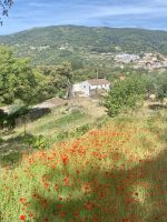 Tag 6 - Unterwegs im Monchique-Gebrige