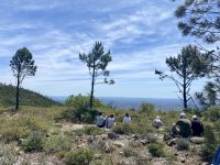 Tag 6 - Mittagspause am Picota