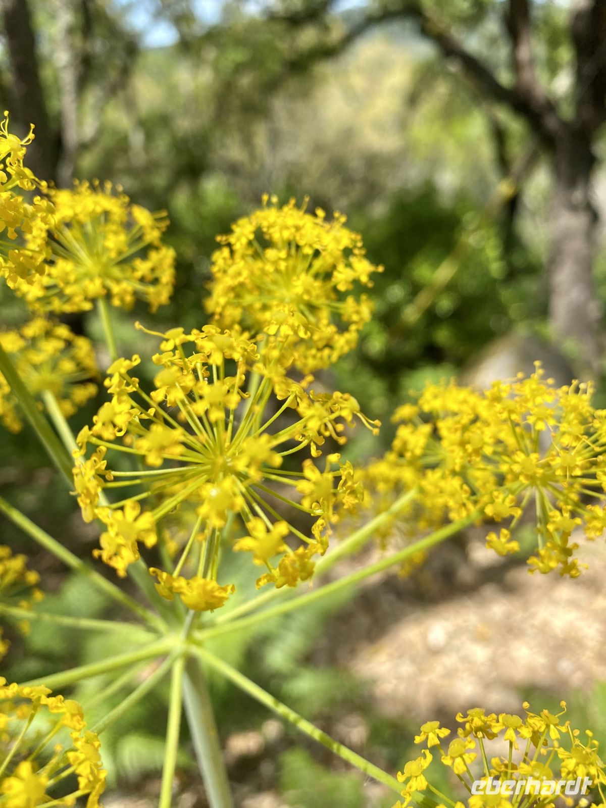 Tag 6 - Impressionen