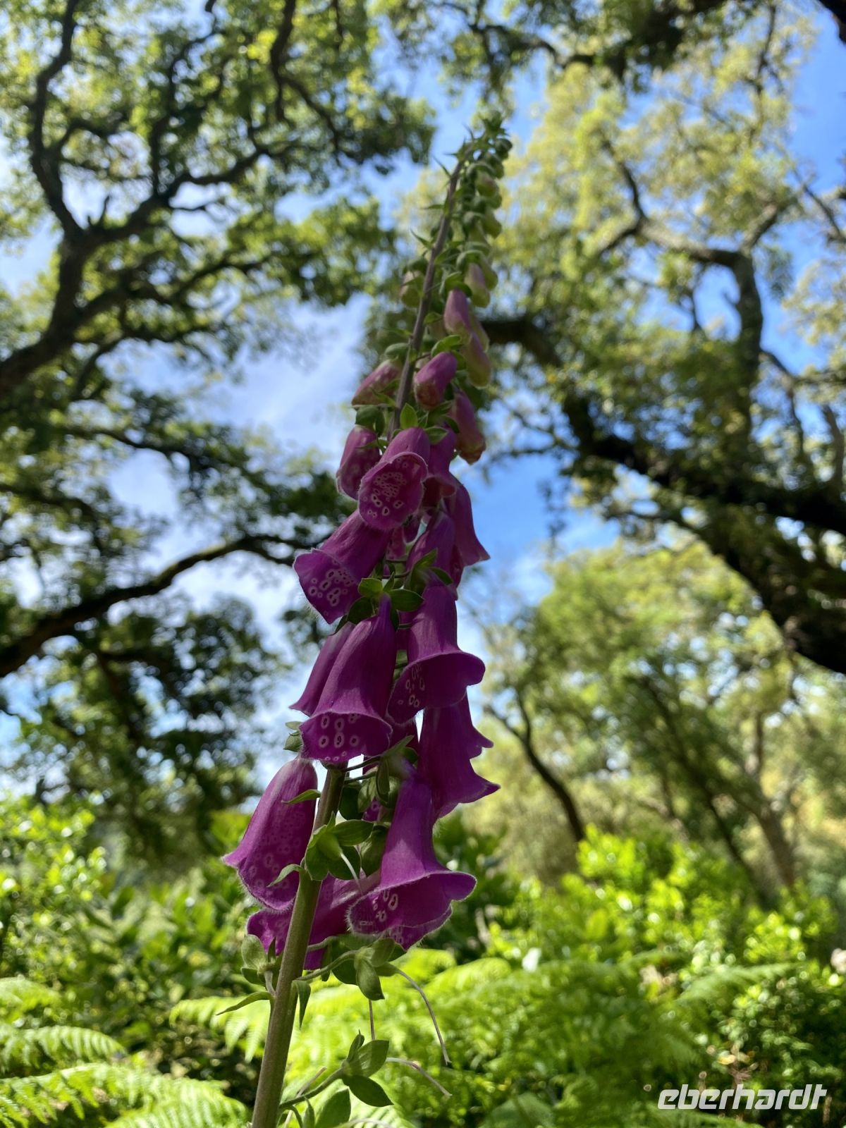 Tag 6 - Impressionen