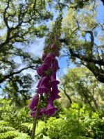 Tag 6 - Impressionen